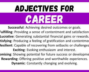 20+ Best Words to Describe Career, Adjectives for Career