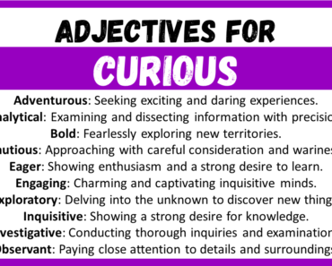 20+ Best Words to Describe Curious, Adjectives for Curious