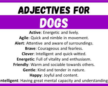 20+ Best Words to Describe Dogs, Adjectives for Dogs