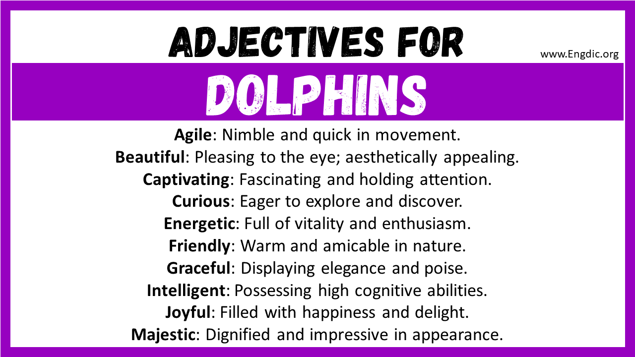Adjectives for Dolphins