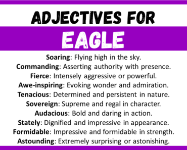 20+ Best Words to Describe Eagle, Adjectives for Eagle