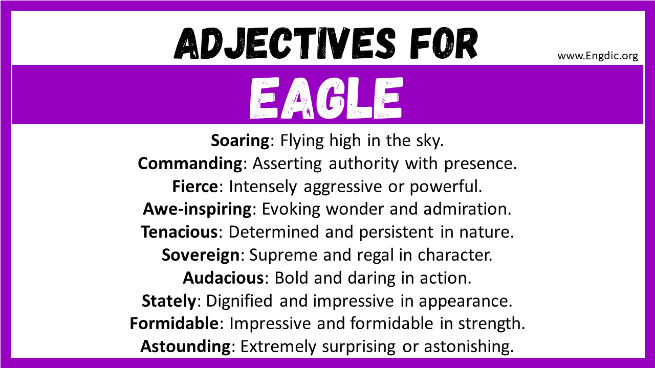 Adjectives for Eagle