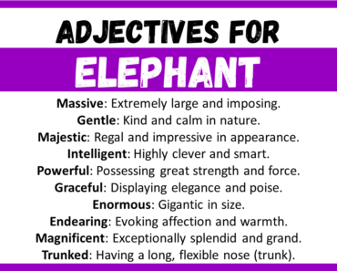 20+ Best Words to Describe Elephant, Adjectives for Elephant
