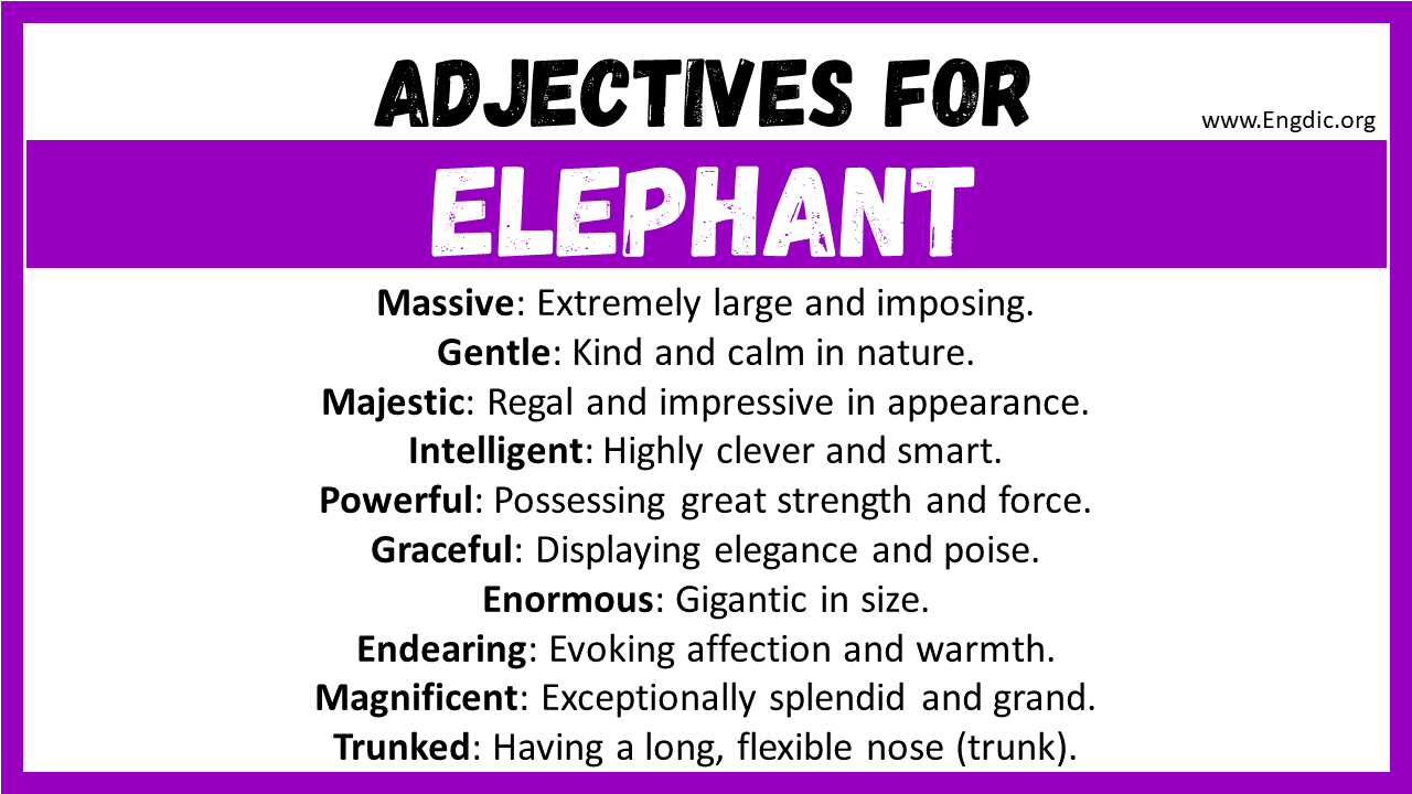 Adjectives for Elephant