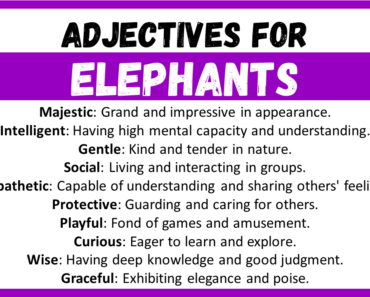20+ Best Words to Describe Elephants, Adjectives for Elephants