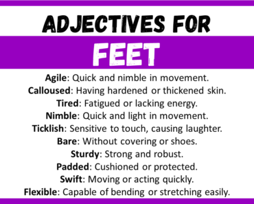 20+ Best Words to Describe Feet, Adjectives for Feet