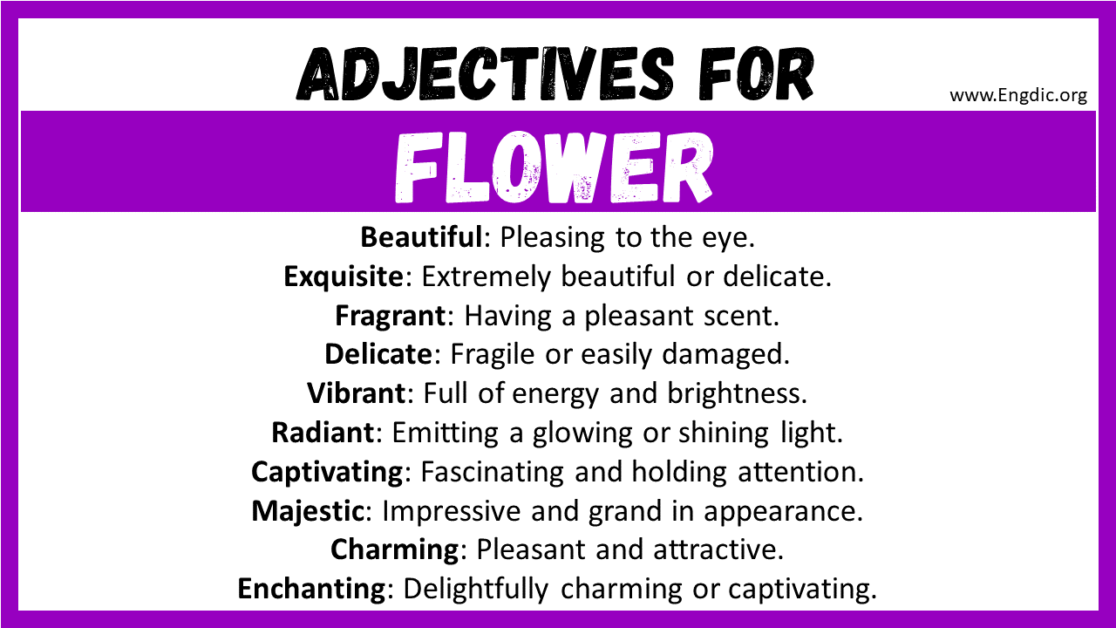 20+ Best Words to Describe Flower, Adjectives for Flower - EngDic