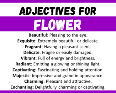 20+ Best Words to Describe Flower, Adjectives for Flower