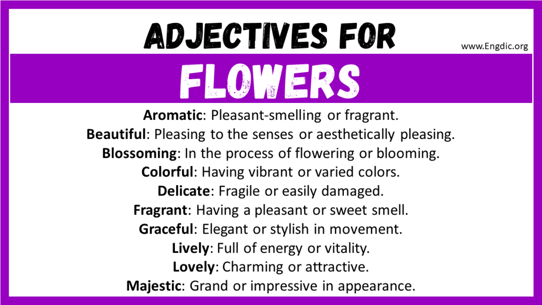 20+ Best Words to Describe Flowers, Adjectives for Flowers - EngDic