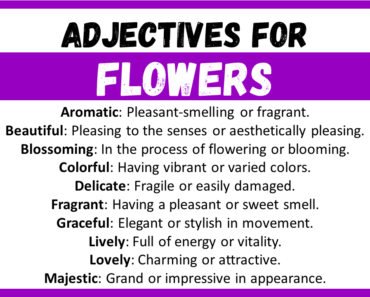 20+ Best Words to Describe Flowers, Adjectives for Flowers