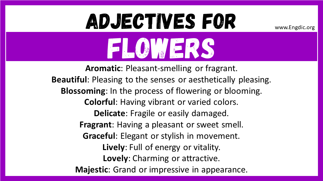 Adjectives for Flowers