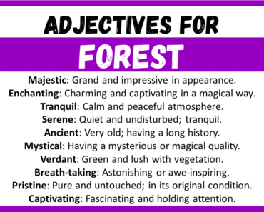 20+ Best Words to Describe a Forest, Adjectives for Forest
