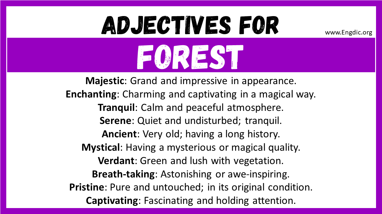 Adjectives for Forest