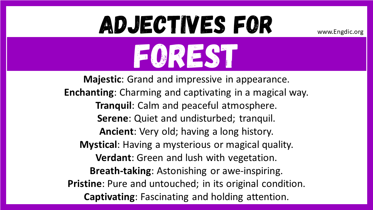 20 Best Words To Describe A Forest Adjectives For Forest EngDic