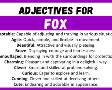 20+ Best Words to Describe Fox, Adjectives for Fox
