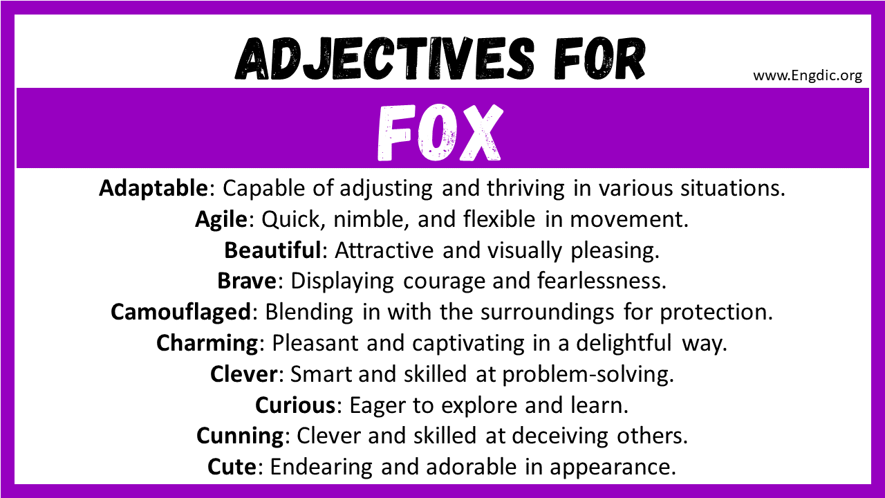 Adjectives for Fox