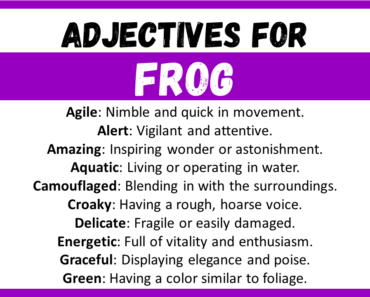 20+ Best Words to Describe Frog, Adjectives for Frog