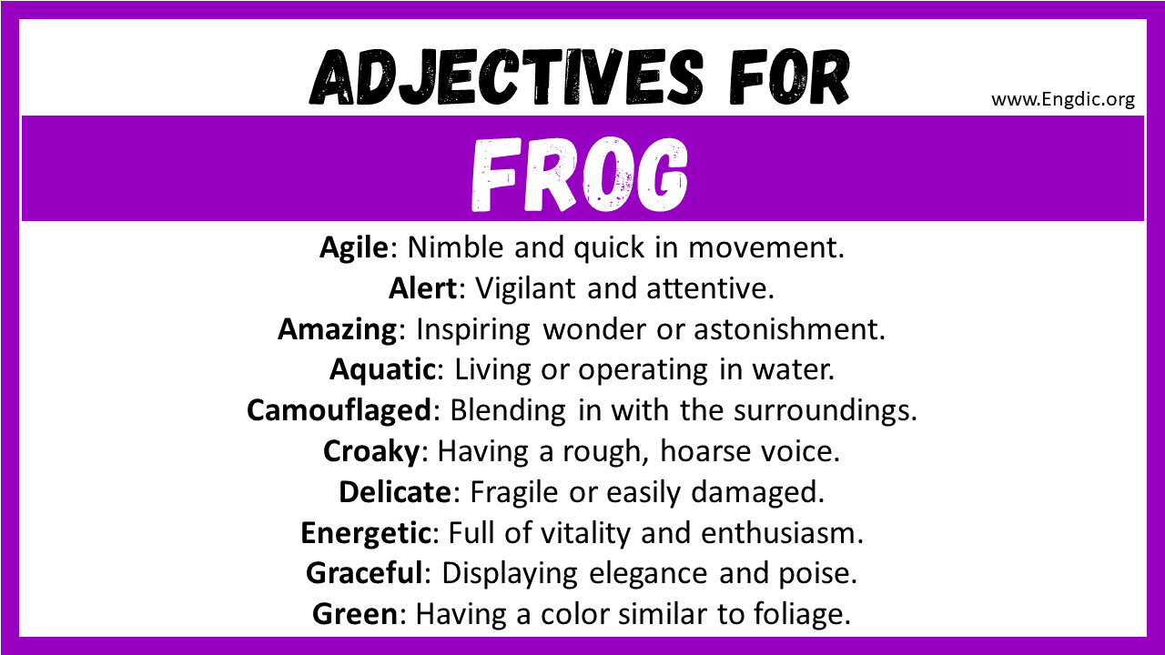 Adjectives for Frog