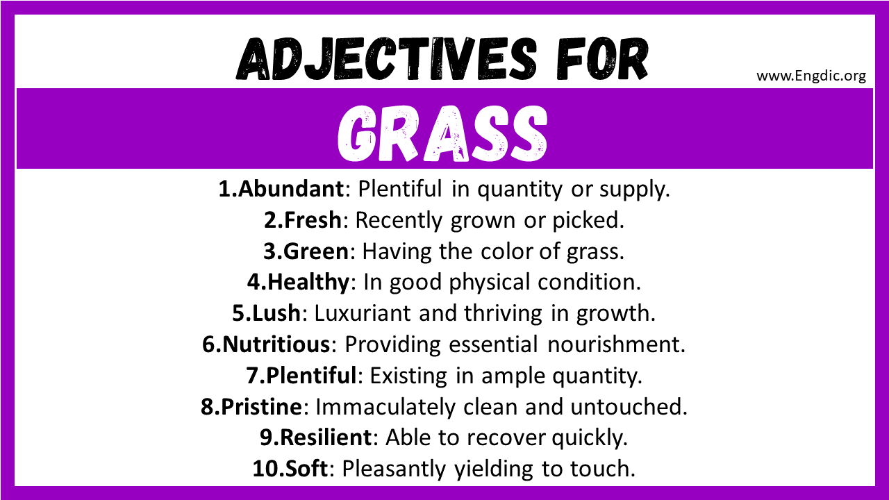 Adjectives for Grass
