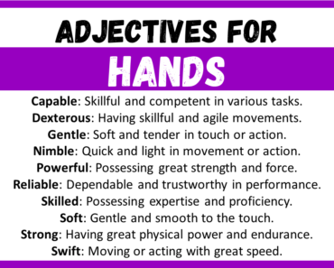 20+ Best Words to Describe Hands, Adjectives for Hands