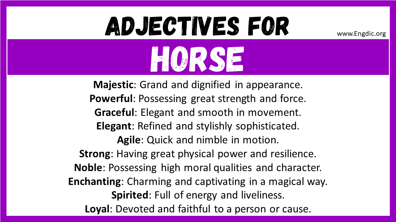 Adjectives for Horse