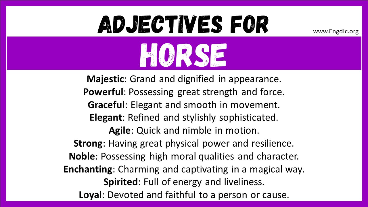 20+ Best Words to Describe Horse, Adjectives for Horse - EngDic