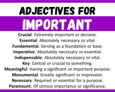20+ Best Words to Describe Important, Adjectives for Important