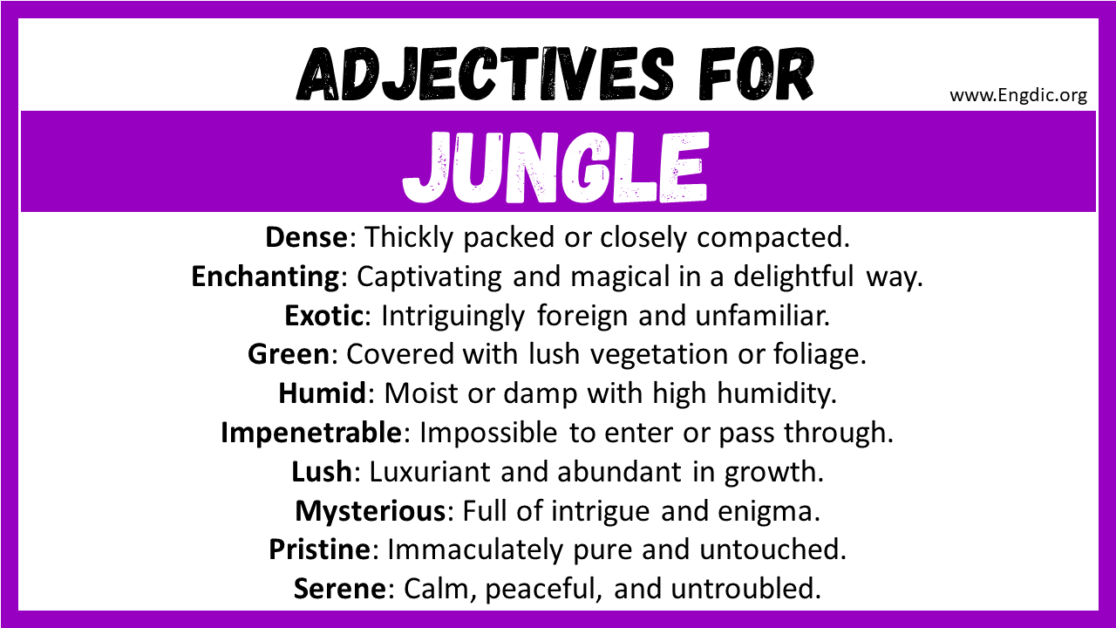 20-best-words-to-describe-jungle-adjectives-for-jungle-engdic