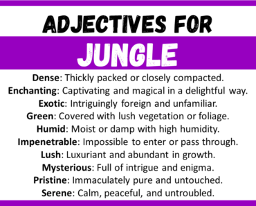 20+ Best Words to Describe Jungle, Adjectives for Jungle