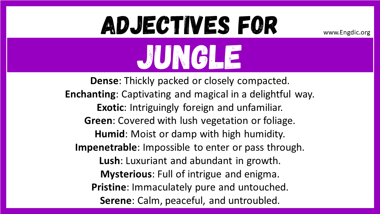 Adjectives for Jungle