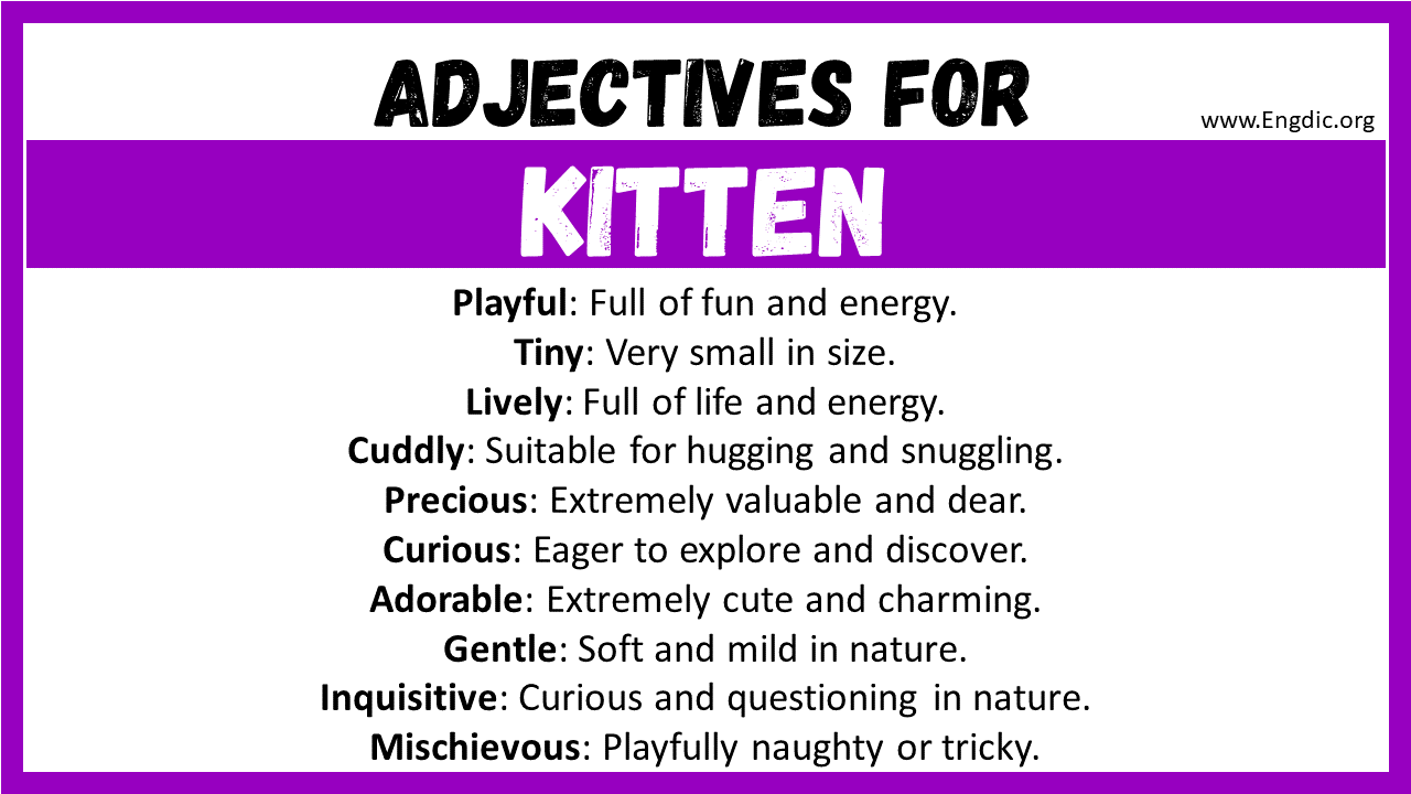 Adjectives for Kitten