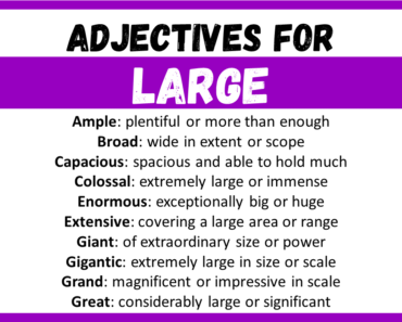 20+ Best Words to Describe Large, Adjectives for Large