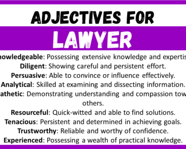 20+ Best Words to Describe Lawyer, Adjectives for Lawyer