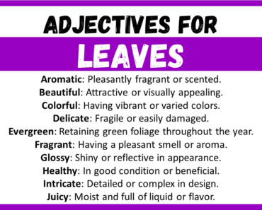 20+ Best Words to Describe Leaves, Adjectives for Leaves
