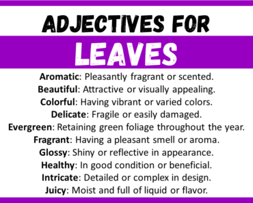 20+ Best Words to Describe Leaves, Adjectives for Leaves 20+ Best Words to Describe Leaves, Adjectives for Leaves