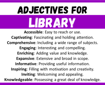 20+ Best Words to Describe Library, Adjectives for Library