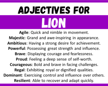 20+ Best Words to Describe Lion, Adjectives for Lion