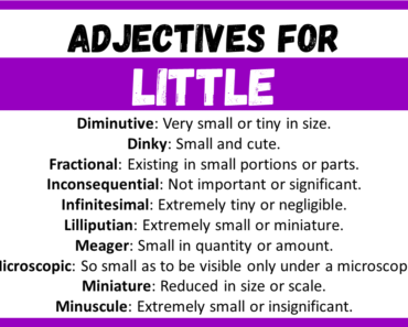 20+ Best Words to Describe Little, Adjectives for Little