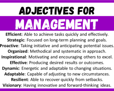 20+ Best Words to Describe Management, Adjectives for Management