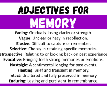 20+ Best Words to Describe Memory, Adjectives for Memory