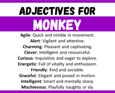 20+ Best Words to Describe Monkey, Adjectives for Monkey