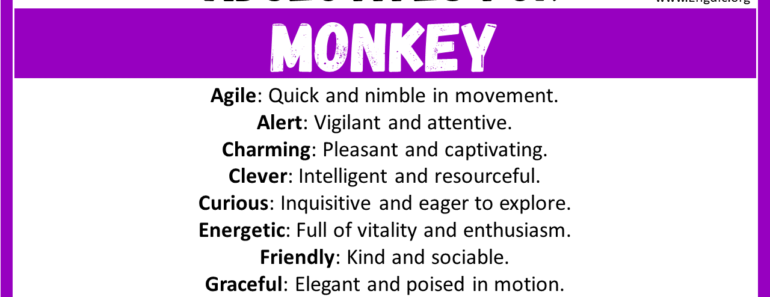 20+ Best Words to Describe Monkey, Adjectives for Monkey