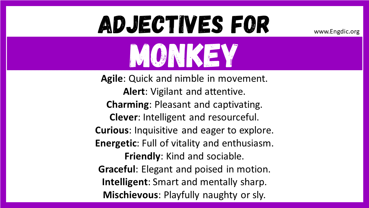 Adjectives for Monkey