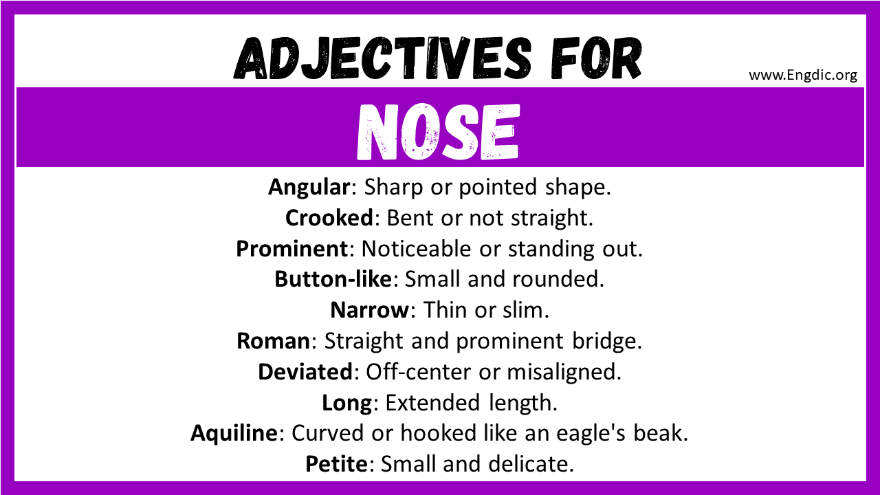 Adjectives for Nose