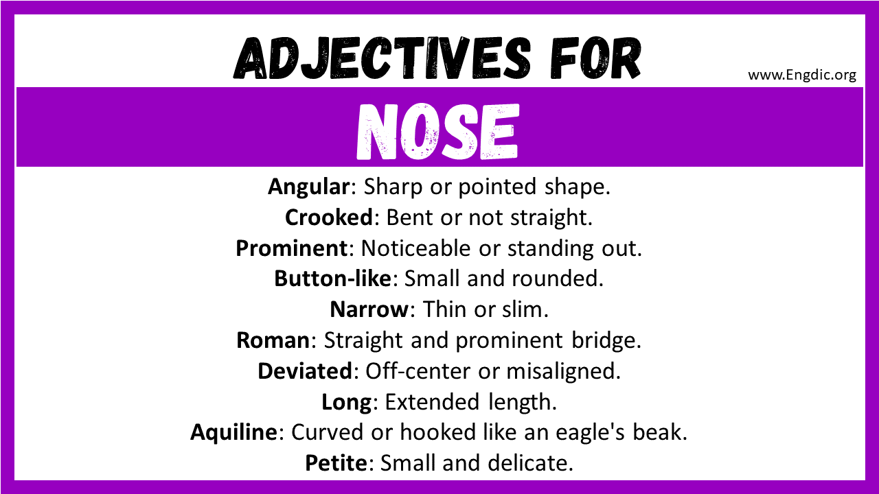 20+ Best Words to Describe Nose, Adjectives for Nose - EngDic