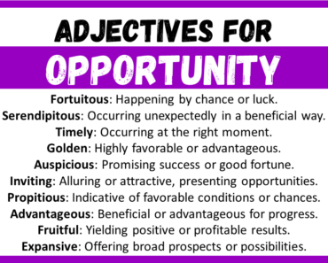 20+ Best Words to Describe Opportunity, Adjectives for Opportunity