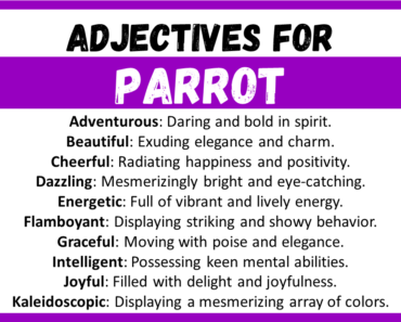 20+ Best Words to Describe Parrot, Adjectives for Parrot