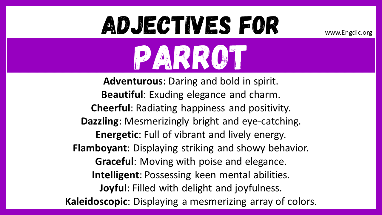 Adjectives for Parrot