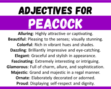 20+ Best Words to Describe Peacock, Adjectives for Peacock