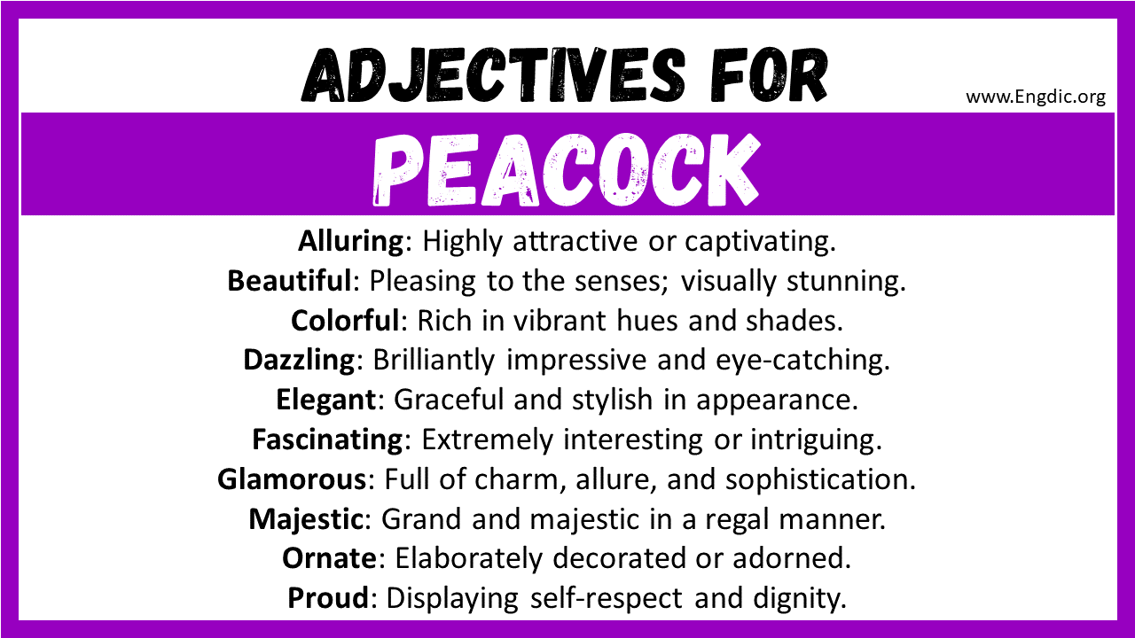 Adjectives for Peacock